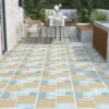Gạch lát sân vườn CX5550