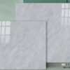 Gạch lát nền 100×100  FB 10.613