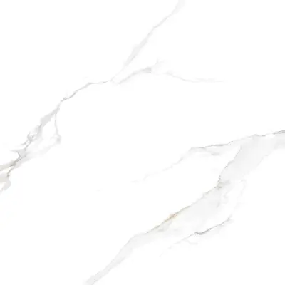 Gạch lát nền 100×100 VP1010.5002F