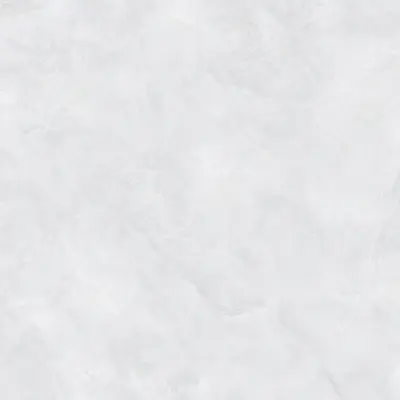 Gạch lát nền 100×100 VP1010.5004F