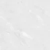 Gạch lát nền 10×100 VP1010.5013F