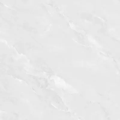 Gạch lát nền 10×100 VP1010.5013F