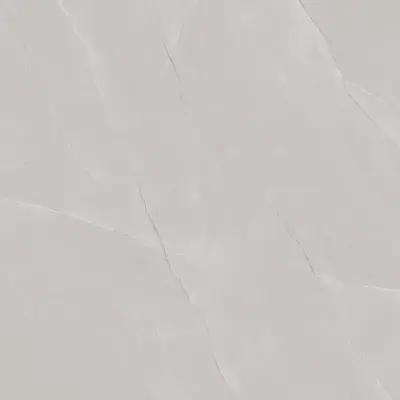 Gạch lát nền 10×100 VP1010.5080F